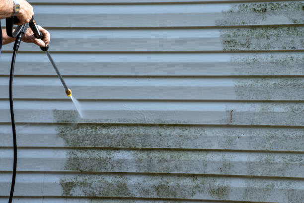 Best Hoarding Cleanup  in Stratford, CA
